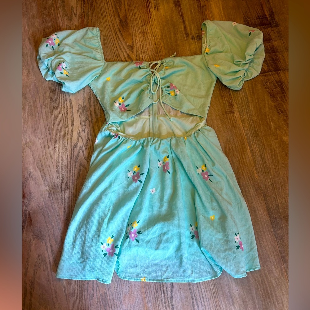 Lucy in the sky mini dress- worn once